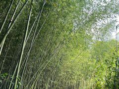 -终南山古楼观历史文化景区