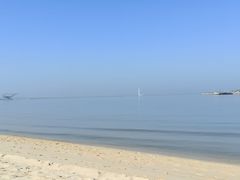 -营口金泰珑悦海景大酒店