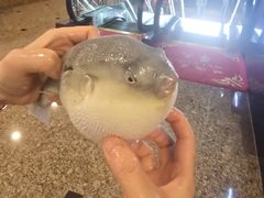 -肆月河豚·淮扬菜·湘菜(华天店)