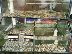 水产区-四海鲜渔家菜(黄金海岸店)
