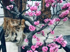 -石家庄市植物园