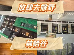 -林栖谷森林康养度假区