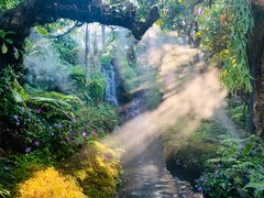 -Chom Cafe and Restaurant