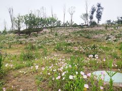 -白鹭湾湿地公园