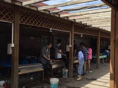 -亲兄弟真人CS团建拓展基地