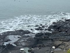 -漳州滨海火山岛自然生态风景区