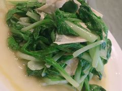 蒜蓉鸡毛菜-西湖春天•老字号杭州菜(百汇店)