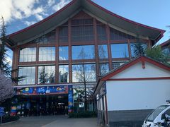 -丽江三义国际机场