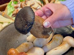 -滇野云南野生菌餐厅(陕西南路店)