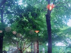 -CHEZ JASMINE 茉莉的氧气厨房