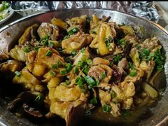 -鲤鱼塘农家山庄