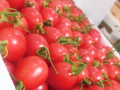 -鲜力达果品批发直销(无锡保利香槟店)