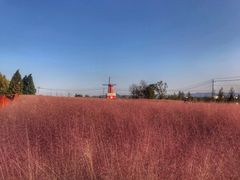 -羊亭河湿地公园