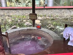 -明月山天沐温泉度假村