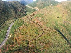 -大围山国家森林公园