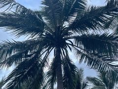 -日月湾海门游览区