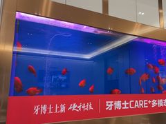 -牙博士口腔品牌连锁(杨浦店)