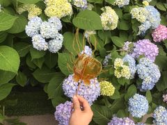 -两江国际影视城