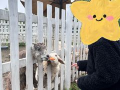 -前小桔亲子创意农场·草莓采摘·露营烧烤