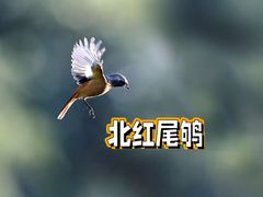 -上海野生动物园