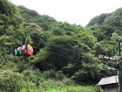 -王顺山国家森林公园