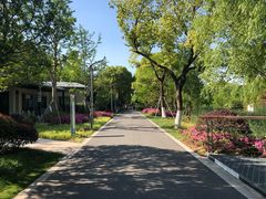 -昆山城市生态森林公园