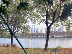 -顺峰山公园
