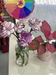 -蕾特恩专业祛痘·皮肤管理