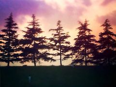 -东天目山风景区