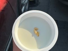 -文宇奶酪店(南锣鼓巷店)