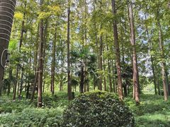-上海怡沁园度假酒店