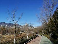 -滨河世纪广场公园