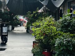 -南汇花鸟市场(上海浦东新花卉店)