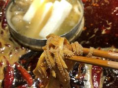 -大味生态火锅(蓝谷地店)