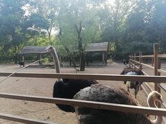 -秦皇岛野生动物园