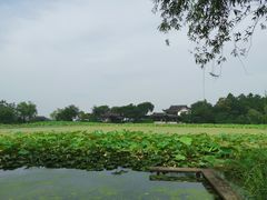 -高子水居