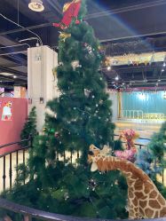 -塔塔王国·主题儿童游乐园(奥城商业广场店)