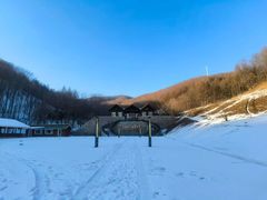 -云岭野山参风景区
