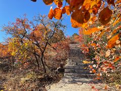 -北京西山国家森林公园