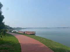 -丁香湖公园