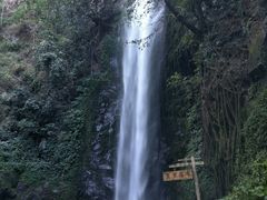 -莫里热带雨林景区
