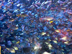 -成都浩海立方海洋公园