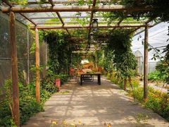 -前小桔亲子创意农场·草莓采摘·露营烧烤