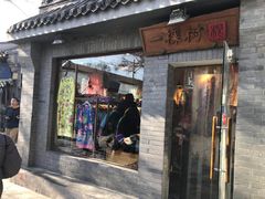 -一棵树(雨儿胡同)