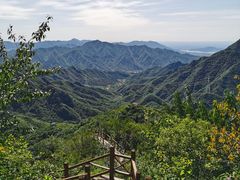 -大岭沟猕猴桃谷风景区