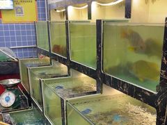 -众味海鲜大排档·活海鲜·潮汕味(南澳店)