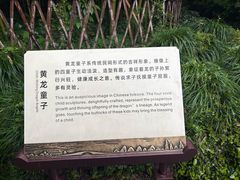 -杭州黄龙洞