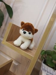-变美丽半永久纹眉连锁·机器野生眉·洗眉