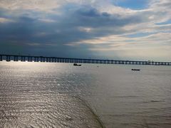 -宝安西湾红树林湿地公园