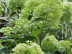 -中国人民解放军空军第九八六医院(北区)